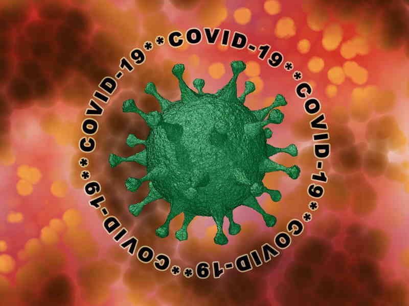 coronavirus ou covid-19